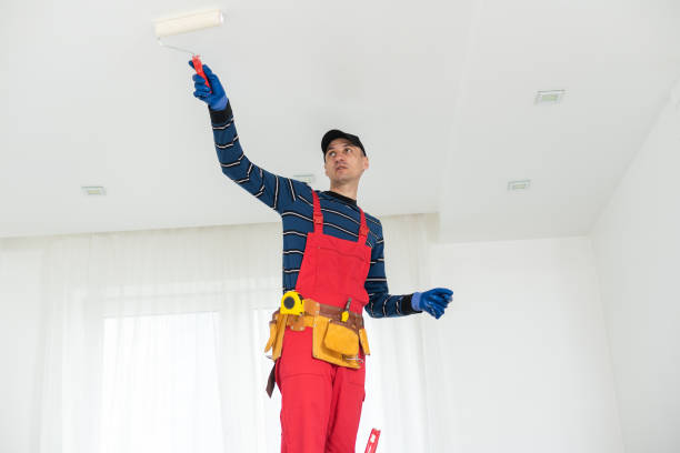 Biohazard Mold Removal in St George, MO